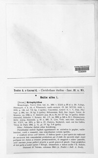 Image Associated With the Occurence